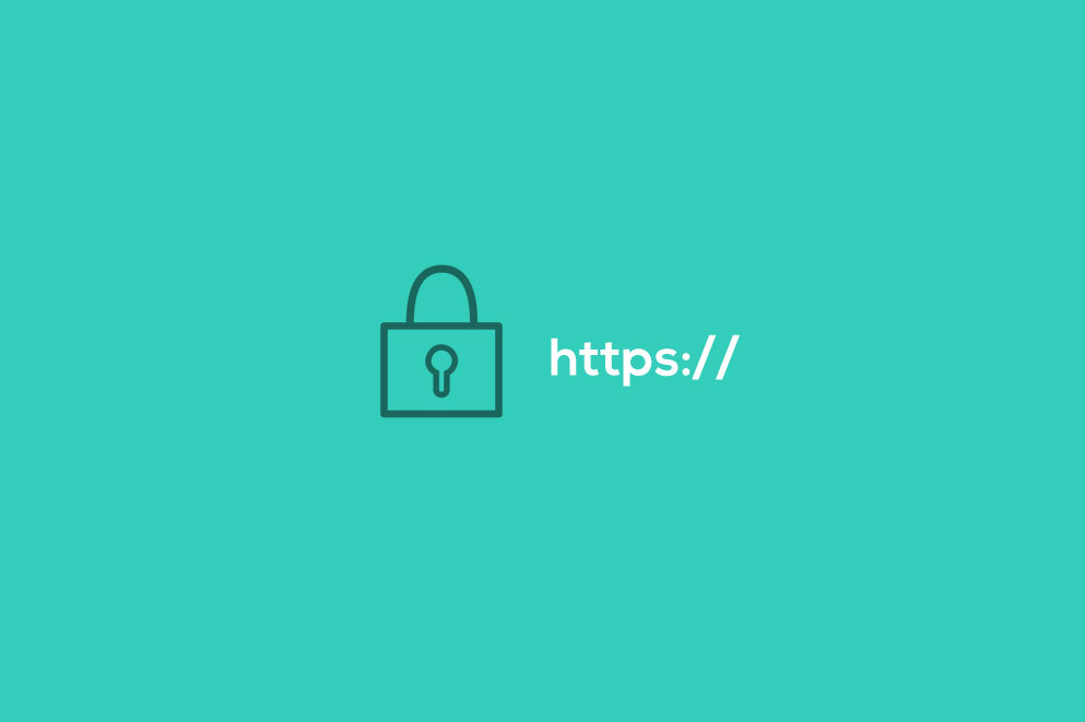 SSL Certificates